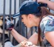 Tierheim Biberach: Fürsorge und Hingabe für unsere tierischen Freunde (Foto: AdobeStock - 664303065 vera)