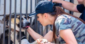 Tierheim Biberach: Fürsorge und Hingabe für unsere tierischen Freunde (Foto: AdobeStock - 664303065 vera)